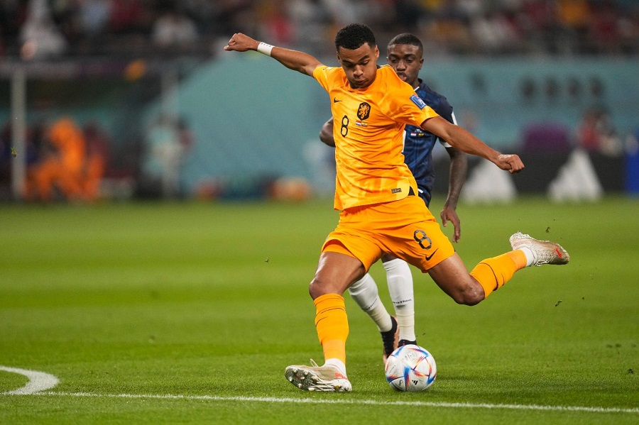 Cody Gakpo (Hà Lan)