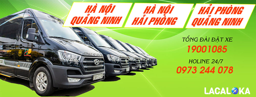 Các Tuyến Xe Hoạt Động